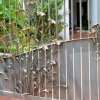 Patina Pavillion